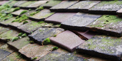 Pantmawr roof repair costs